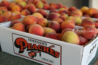 Johnsons Peaches 9 WM