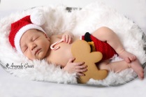 wv-newborn-photographer-christmas-session